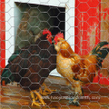 Low Carbon Steel Oxidation-resistant For Chicken Fence